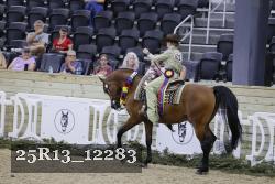 25R13_12283 thumbnail