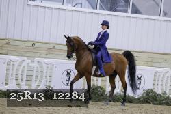 25R13_12284 thumbnail