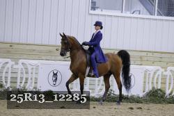 25R13_12285 thumbnail