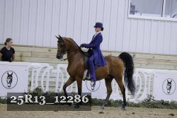 25R13_12286 thumbnail