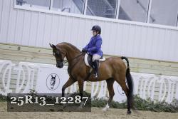 25R13_12287 thumbnail