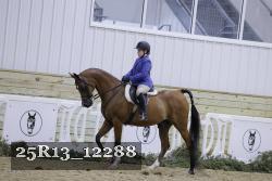 25R13_12288 thumbnail