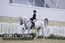 25R13_12289 thumbnail