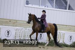 25R13_12292 thumbnail