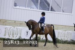 25R13_12293 thumbnail