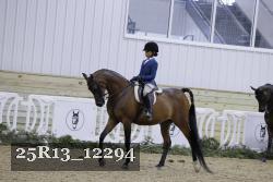 25R13_12294 thumbnail