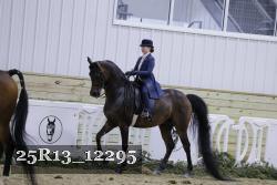 25R13_12295 thumbnail