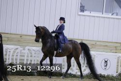 25R13_12296 thumbnail