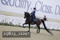 25R13_12297 thumbnail