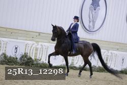 25R13_12298 thumbnail