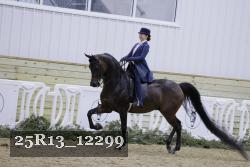 25R13_12299 thumbnail