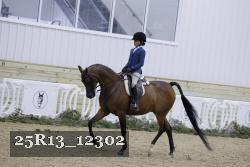 25R13_12302 thumbnail