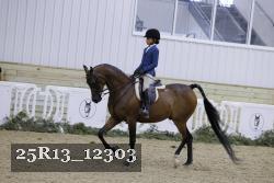 25R13_12303 thumbnail