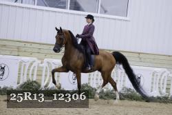 25R13_12306 thumbnail