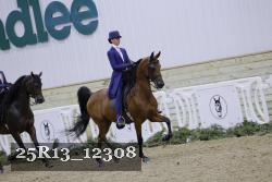 25R13_12308 thumbnail