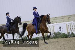 25R13_12309 thumbnail
