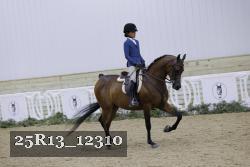 25R13_12310 thumbnail