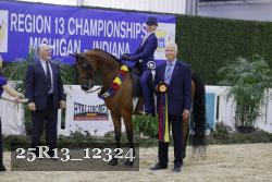 25R13_12324 thumbnail