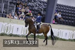 25R13_12332 thumbnail