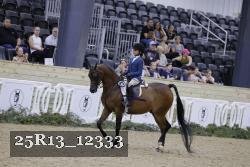 25R13_12333 thumbnail