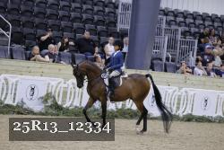 25R13_12334 thumbnail