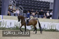 25R13_12335 thumbnail