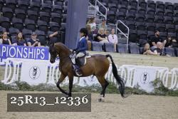 25R13_12336 thumbnail