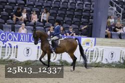 25R13_12337 thumbnail