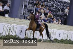 25R13_12343 thumbnail