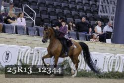 25R13_12344 thumbnail