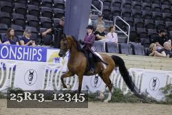 25R13_12345 thumbnail