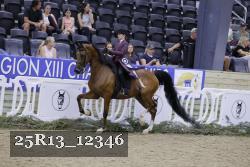 25R13_12346 thumbnail
