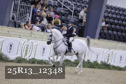 25R13_12348 thumbnail