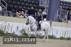 25R13_12349 thumbnail