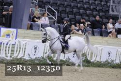 25R13_12350 thumbnail