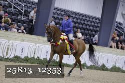 25R13_12353 thumbnail