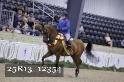 25R13_12354 thumbnail
