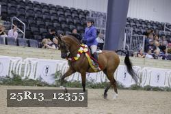 25R13_12355 thumbnail