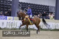 25R13_12356 thumbnail