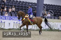 25R13_12357 thumbnail