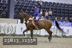 25R13_12358 thumbnail