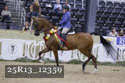 25R13_12359 thumbnail