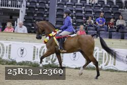25R13_12360 thumbnail