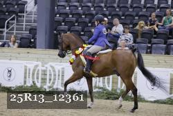 25R13_12361 thumbnail