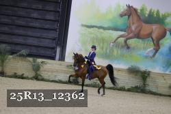 25R13_12362 thumbnail
