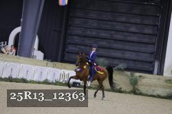 25R13_12363 thumbnail