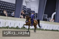25R13_12364 thumbnail