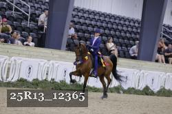 25R13_12365 thumbnail