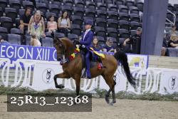 25R13_12368 thumbnail
