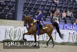 25R13_12369 thumbnail